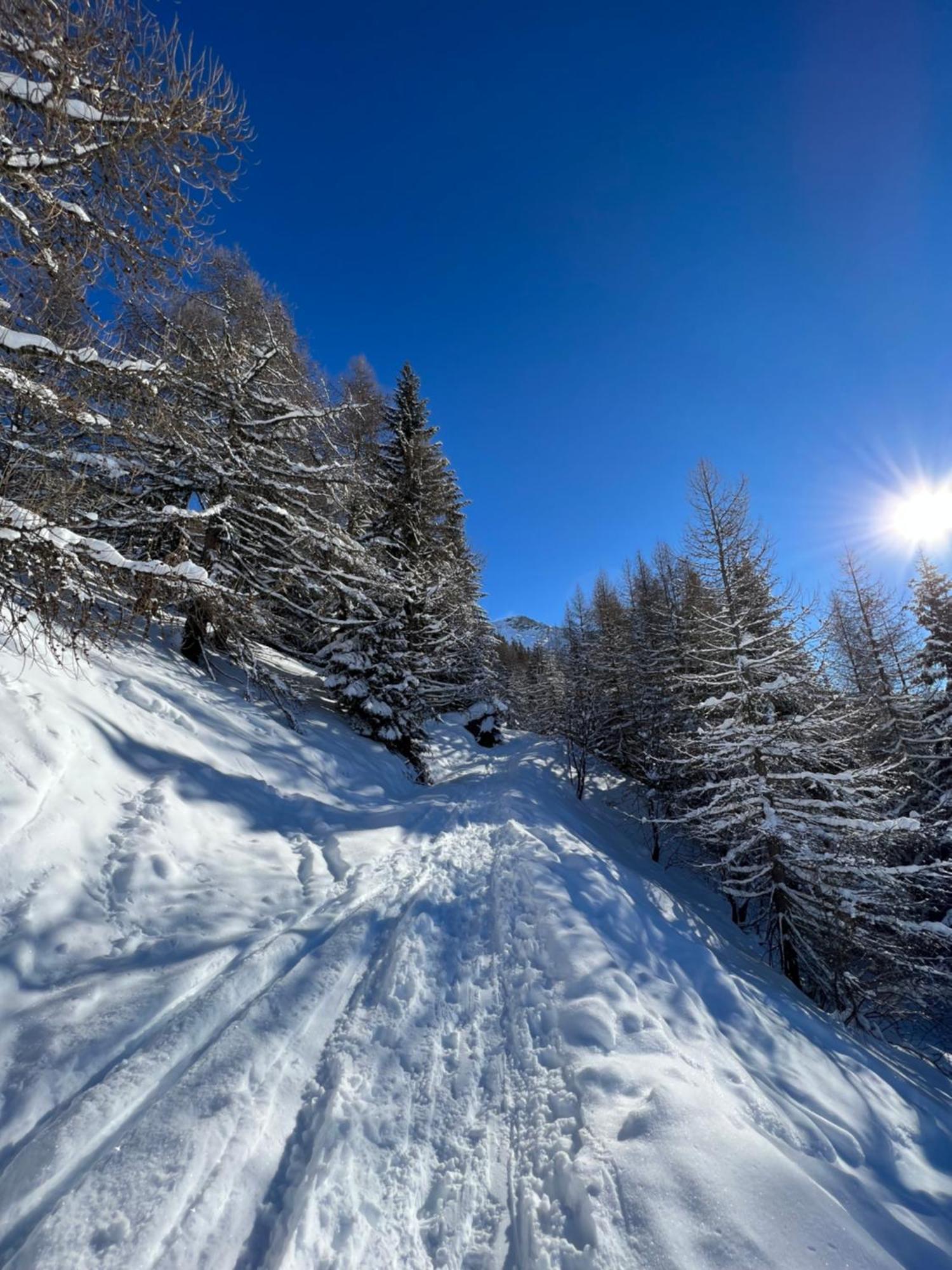 Chalet Altus Sainte-Foy-Tarentaise Bagian luar foto