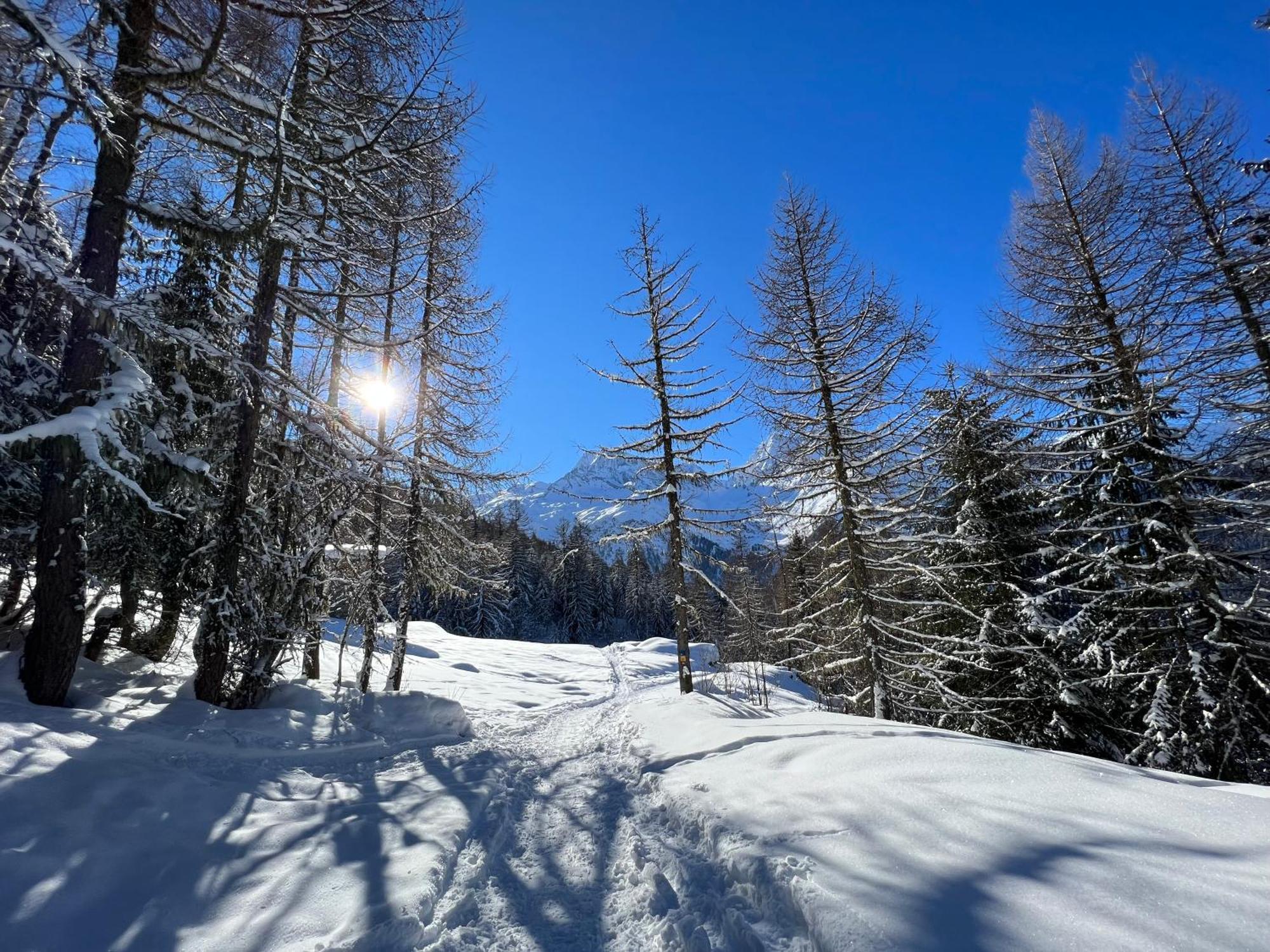 Chalet Altus Sainte-Foy-Tarentaise Bagian luar foto
